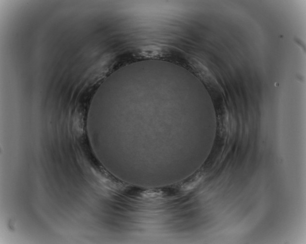 X0000097820606200803141142