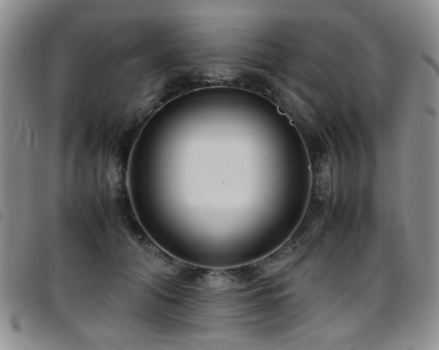 X0000097820608200803141142