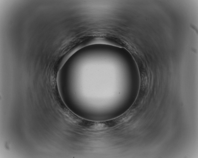 X0000097820609200803141142