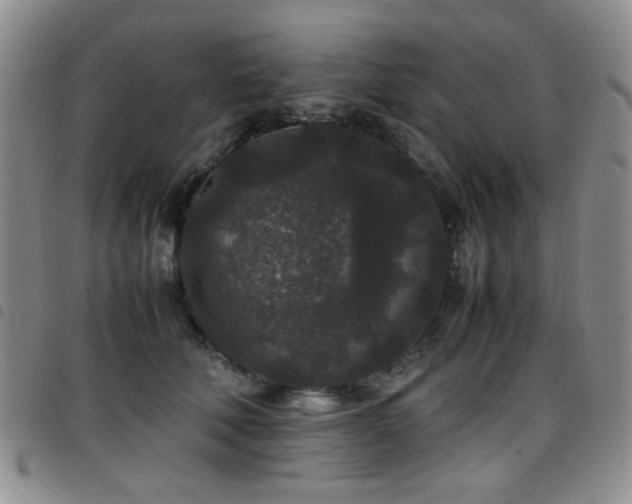 X0000097820610200803141142