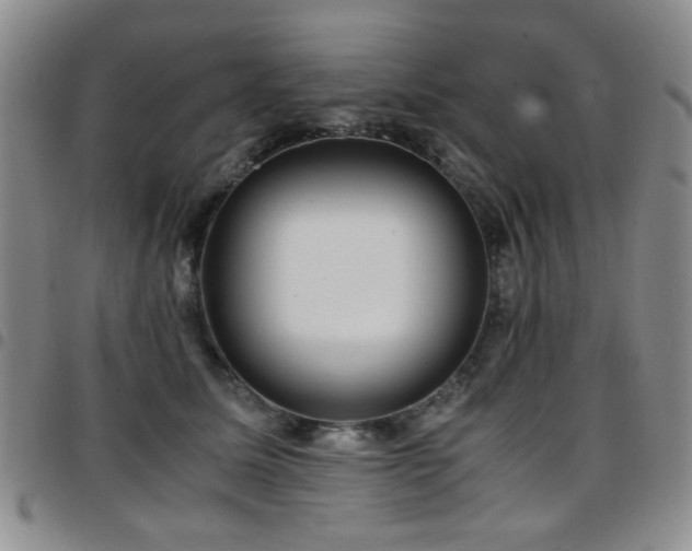 X0000097820611200803141142