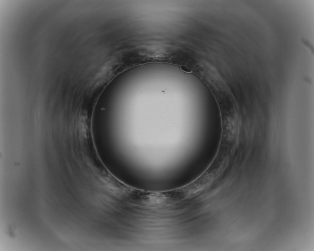 X0000097820612200803141142