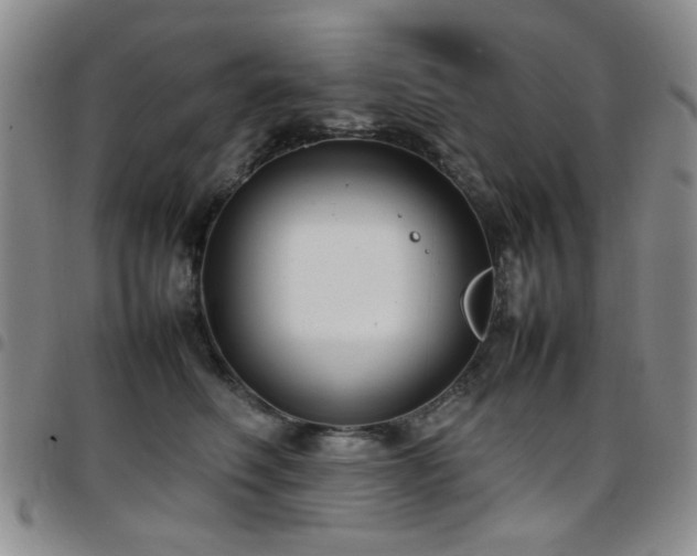 X0000097820614200803141142