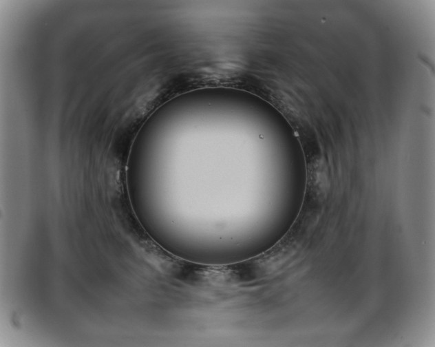 X0000097820615200803141142