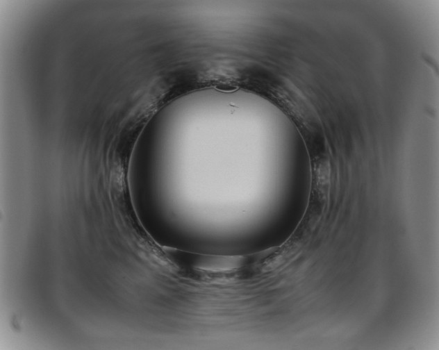 X0000097820617200803141142