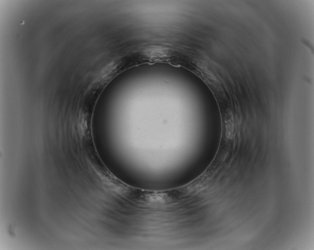 X0000097820618200803141142