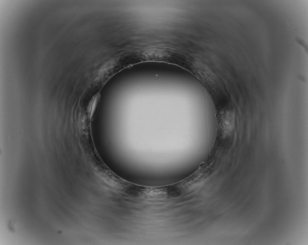 X0000097820619200803141142