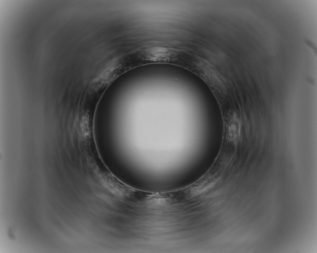 X0000097820620200803141142