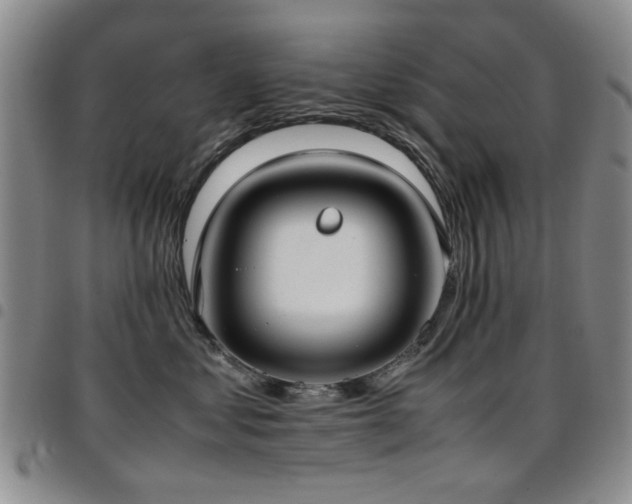 X0000097820621200803141142