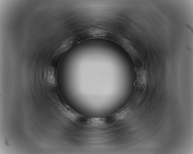 X0000097820622200803141142