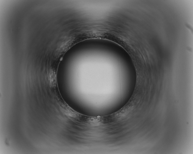 X0000097820624200803141142