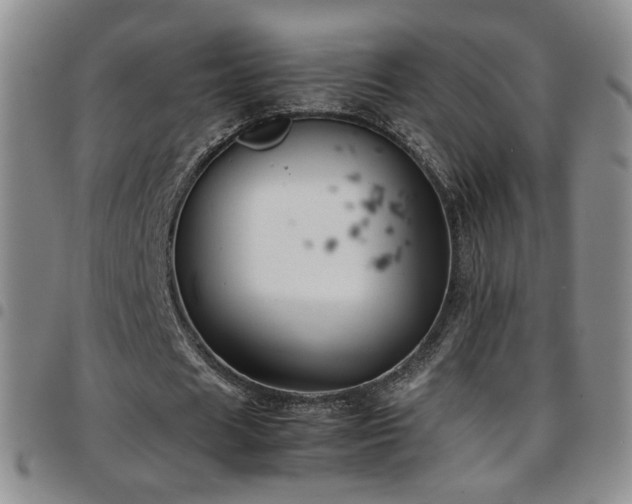 X0000097820625200803141141