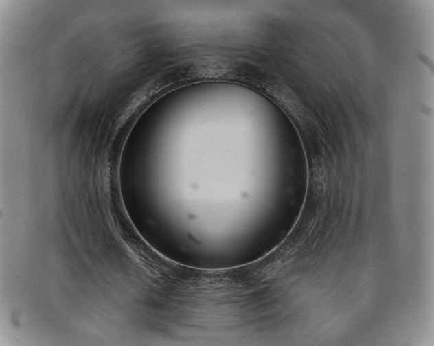 X0000097820626200803141141