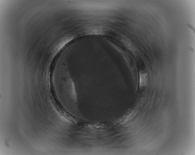 X0000097820627200803141141