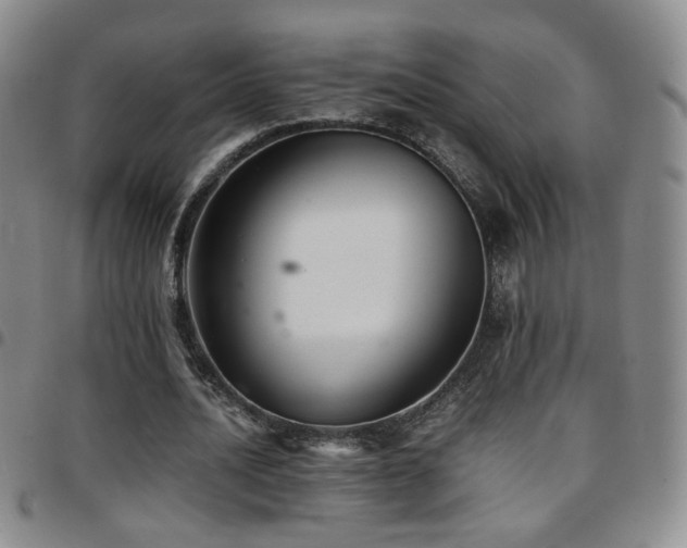 X0000097820628200803141141