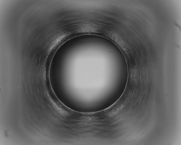 X0000097820629200803141141