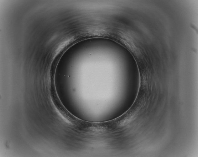 X0000097820630200803141141