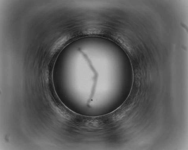 X0000097820631200803141141