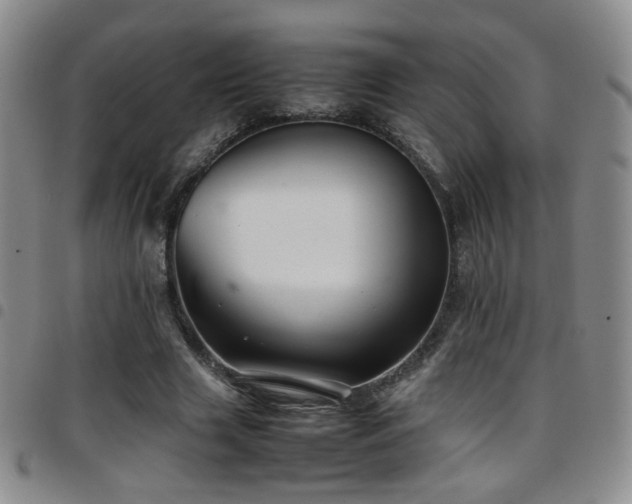 X0000097820633200803141141