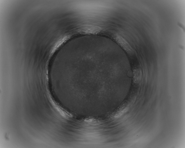 X0000097820634200803141141