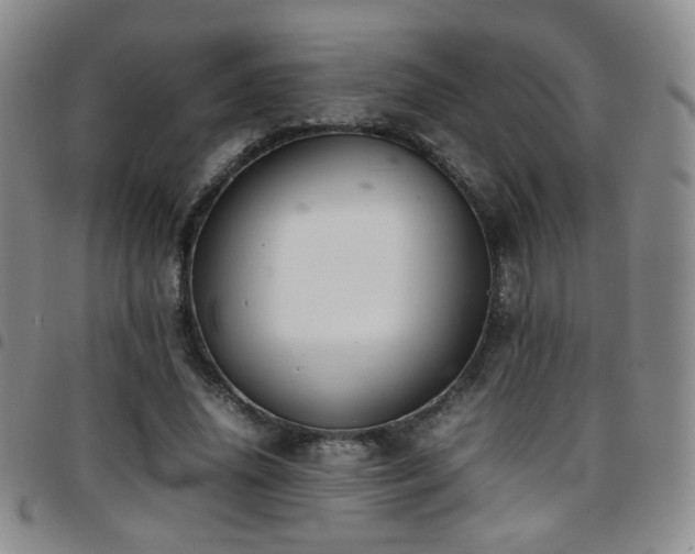 X0000097820636200803141141