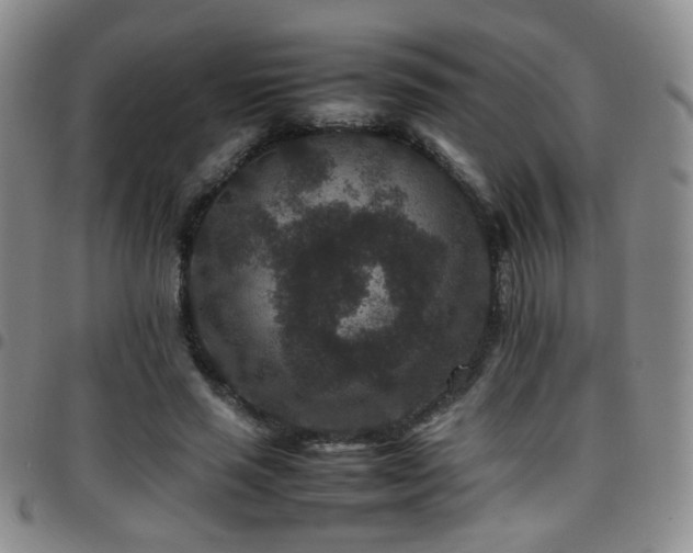 X0000097820637200803141141