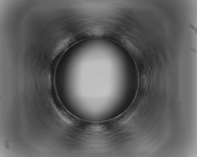 X0000097820638200803141141