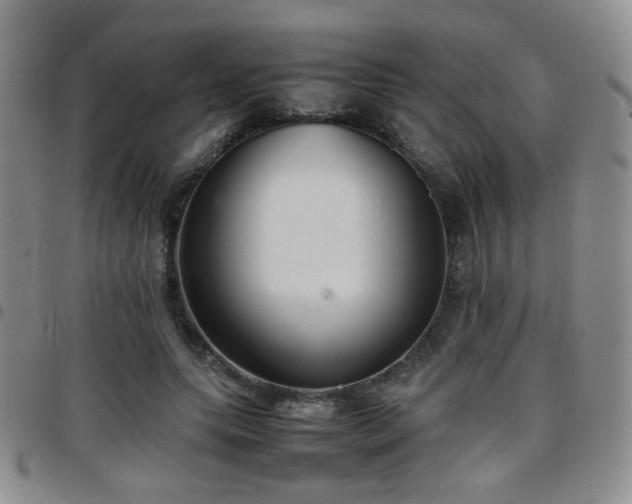 X0000097820639200803141141