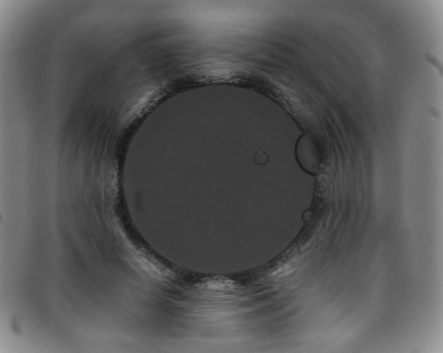 X0000097820642200803141141