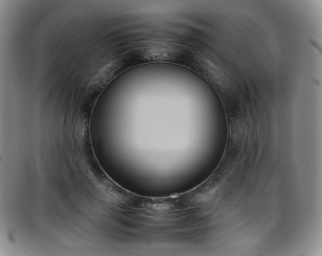 X0000097820645200803141141