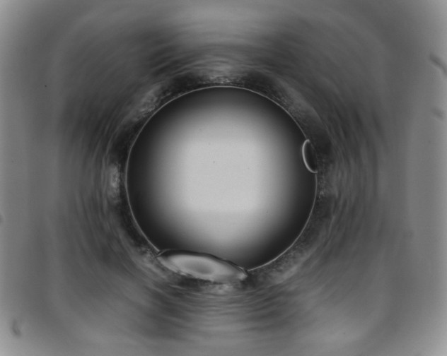 X0000097820646200803141141