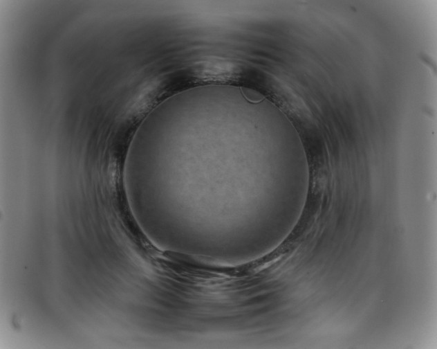 X0000097820647200803141141