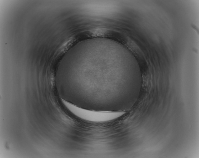 X0000097820648200803141141