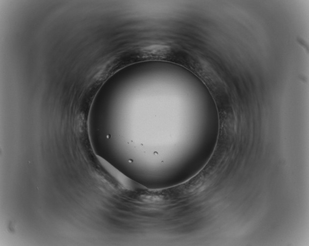 X0000097820649200803141141