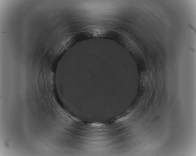 X0000097820650200803141141