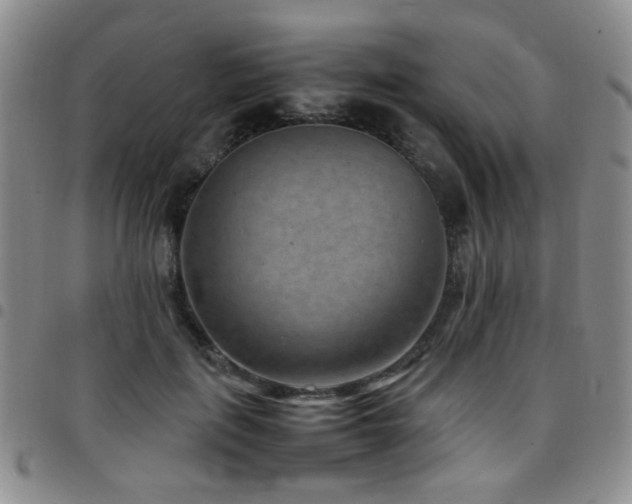 X0000097820651200803141141