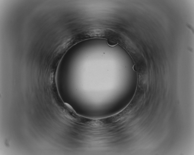 X0000097820652200803141142