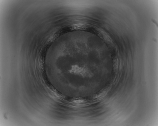 X0000097820653200803141142