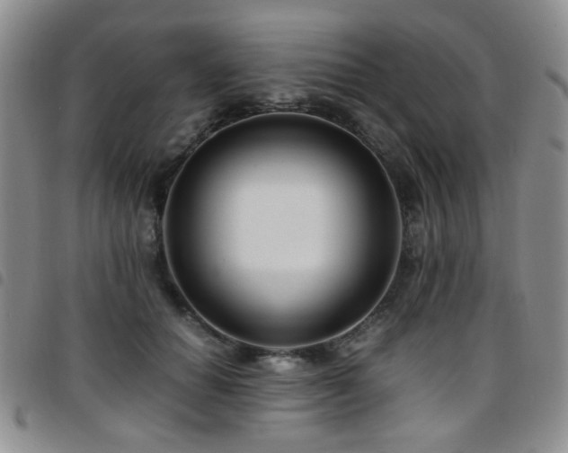 X0000097820654200803141142