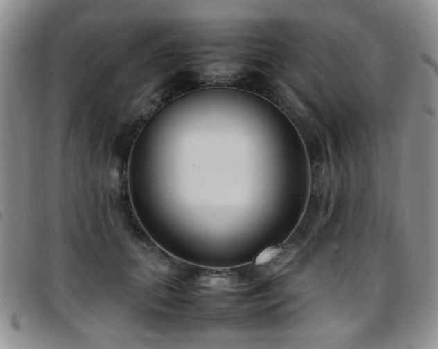 X0000097820655200803141142