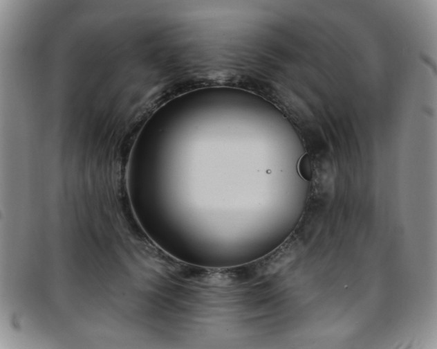 X0000097820656200803141142