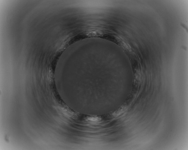 X0000097820659200803141142