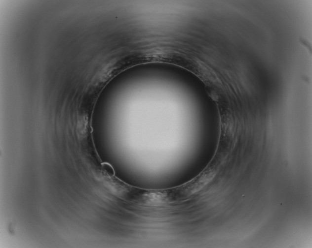 X0000097820660200803141142