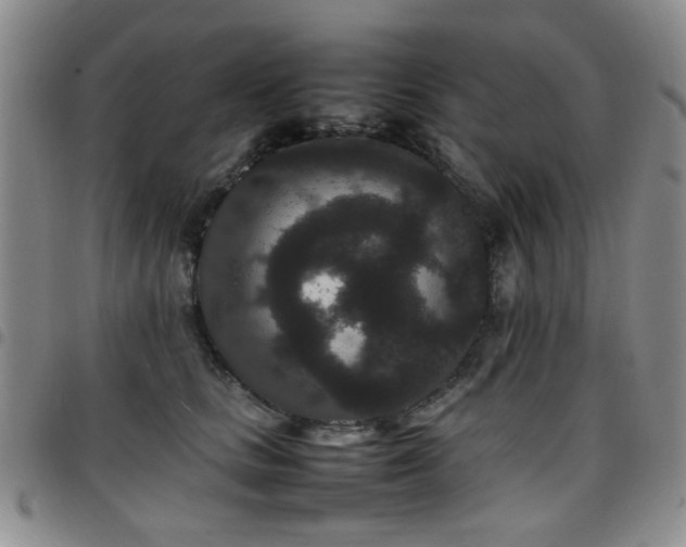 X0000097820661200803141142