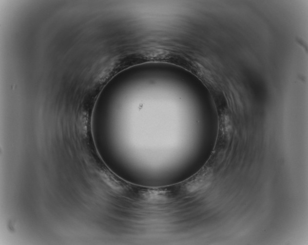 X0000097820664200803141142