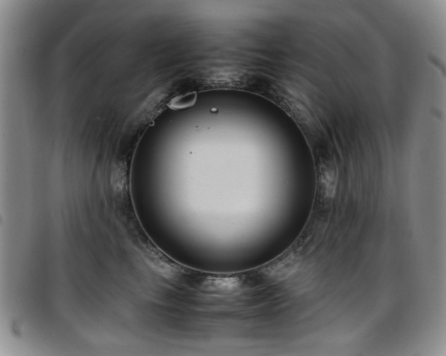 X0000097820665200803141142