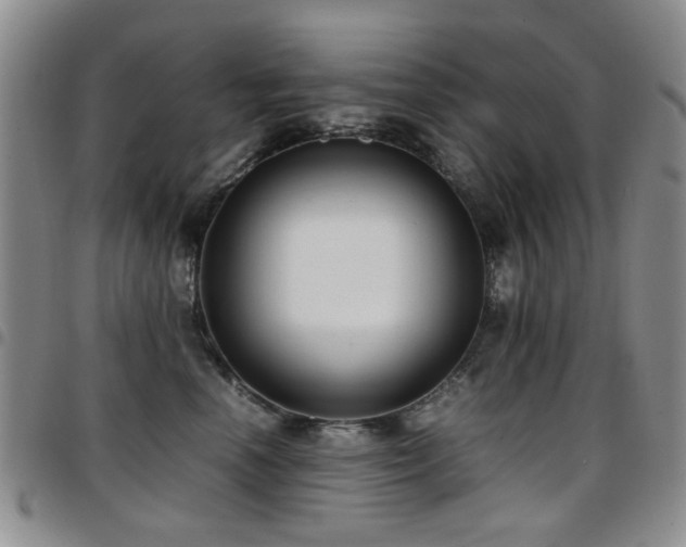 X0000097820666200803141142