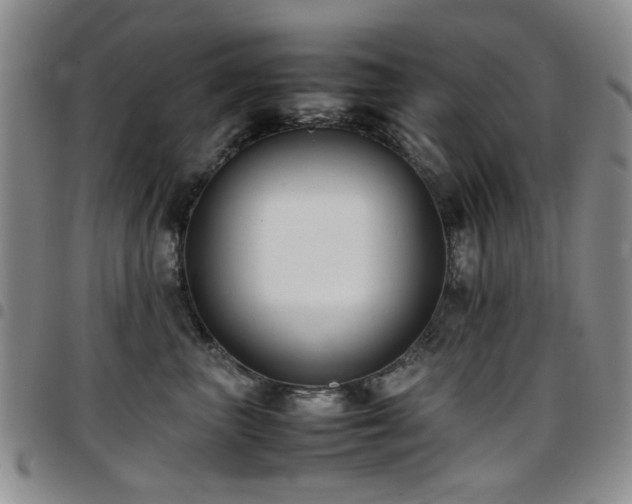 X0000097820667200803141142