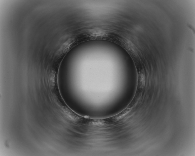 X0000097820668200803141142