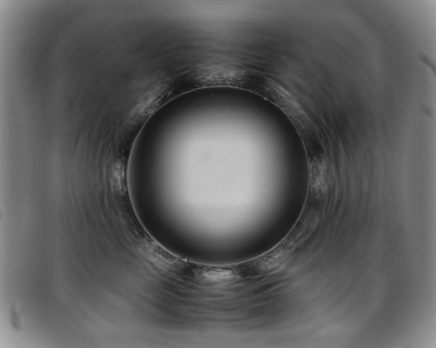 X0000097820669200803141142